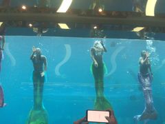 -瑞德姆美人鱼海底演艺主题餐厅(亚龙湾店)