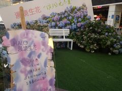 -HALO广场(梨园路店)