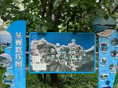 -广东惠东海龟国家级自然保护区