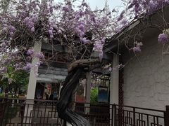 -郑和公园
