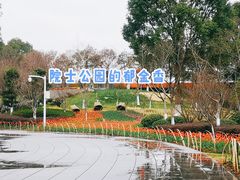 -院士公园