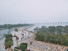 -宝安西湾红树林湿地公园