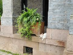 -江心屿景区