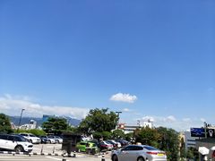 -新罗免税店(首尔总店)