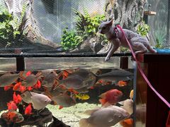 -太平洋海底世界