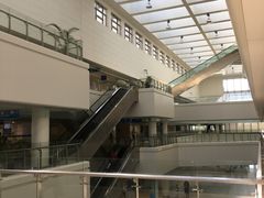 -上海东方肝胆外科医院(嘉定院区)