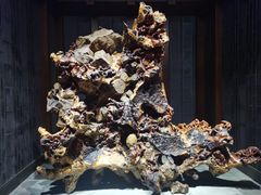 -乐山乌木文化博览苑