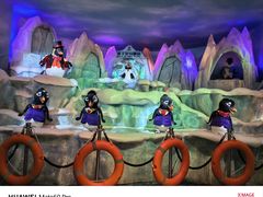 -帝企鹅自助餐厅•儿童岛•真企鹅(长隆企鹅酒店)