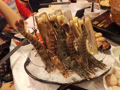 -鲜入围煮花胶鸡海鲜火锅