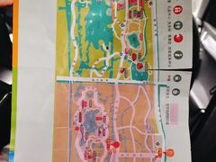 -上海海湾国家森林公园