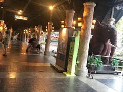 -清迈夜间动物园