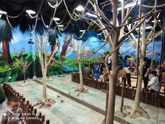 -顺德南宏海立方海洋公园
