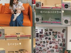-lincat·猫舍(广州店)