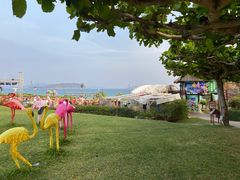 -渔家火锅·海鲜自助餐·演艺(亚龙湾天域酒店)