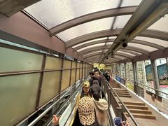 -大馆(前中区警署建築群)