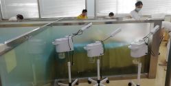 -痘博士广州·全国连锁祛痘机构