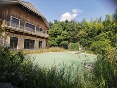 -上海吴淞炮台湾国家湿地公园