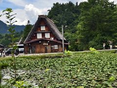 -白川乡与五箇山的合掌构造村落