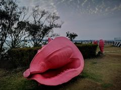 -漳州滨海火山岛自然生态风景区