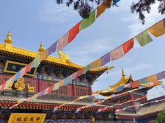 -西安市广仁寺