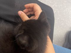 -心仪动物医院·牙专科·肿瘤·心脏科(西客站院)