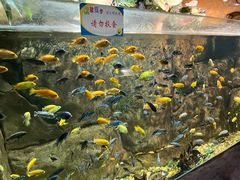 -嘉兴海底世界