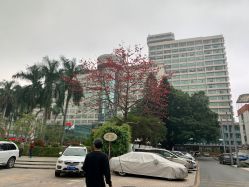 -三寓宾馆宴会厅