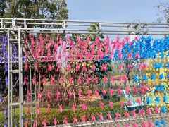 -恒大世纪梦幻城