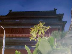 -苦尽酒馆·川菜(鼓楼店)