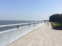 iphone_upload_pic-大湾区中央湿地公园