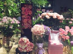 -BEAST野兽派(上海浦东嘉里城店)