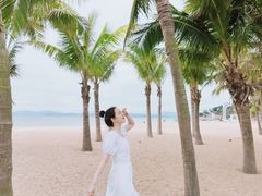 -玫瑰海岸文化旅游度假区