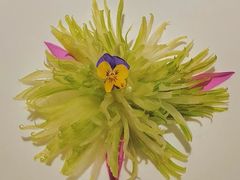 翡翠西芹-浙里本味·宴四季江南(三台山路店)