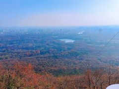 -紫金山天文台