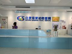 -北京观赏动物医院·24小时大型综合·猫专科·异宠专科