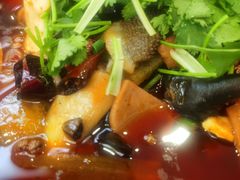 精品毛血旺-成都驻京办餐厅(蜀都宾馆店)