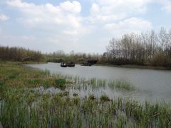 -溱湖国家湿地公园