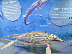 -国家自然博物馆