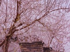 -三里河公园