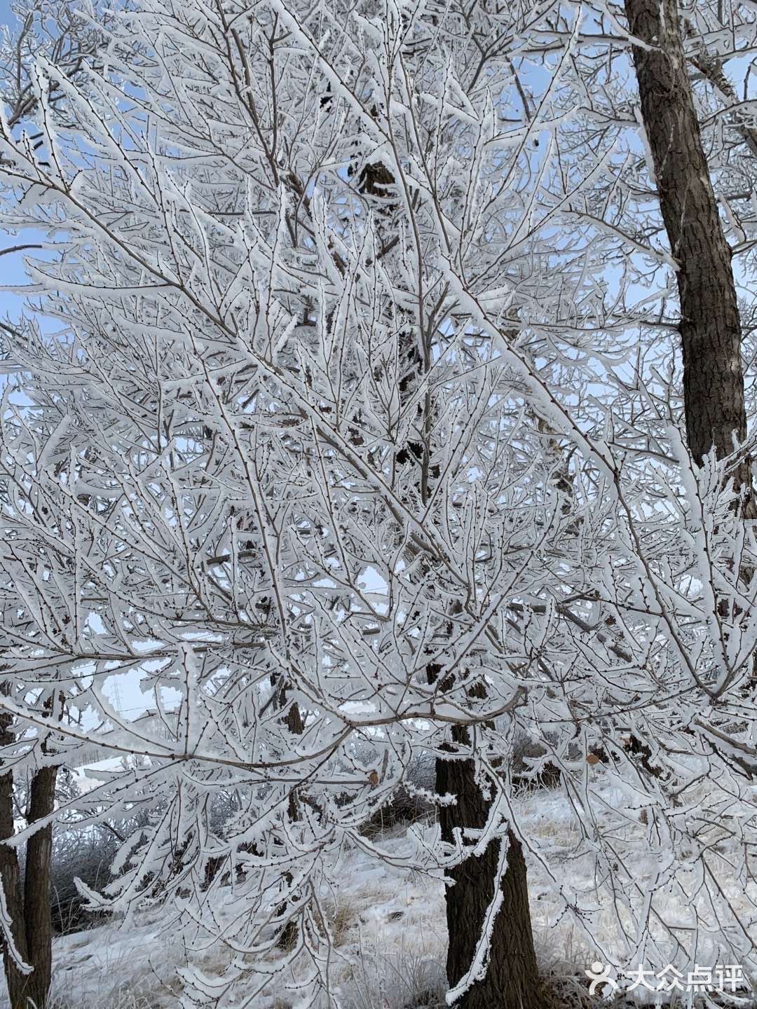 故園無此聲.5,最美不過下雪天,和你一起路過的白色街邊