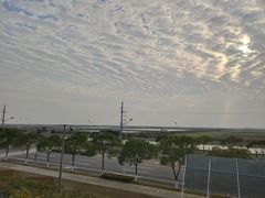 -洋山深水港
