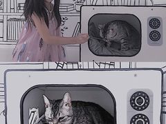 -白夜2D咖啡馆