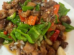 -煲来饱去冷水鱼