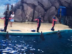 -福州罗源湾海洋世界旅游区
