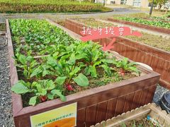 -梧桐人家中国太平国际健康颐养社区