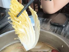 -鸽鸟轩(石岐店)