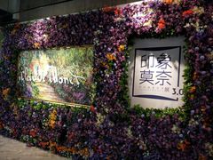 -印象莫奈时光映迹艺术展