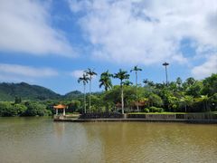 -深圳仙湖植物园