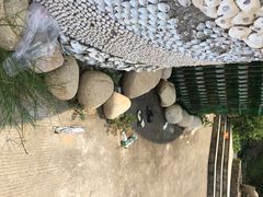 iphone_upload_pic-东澳岛