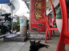 -金龙酒家
